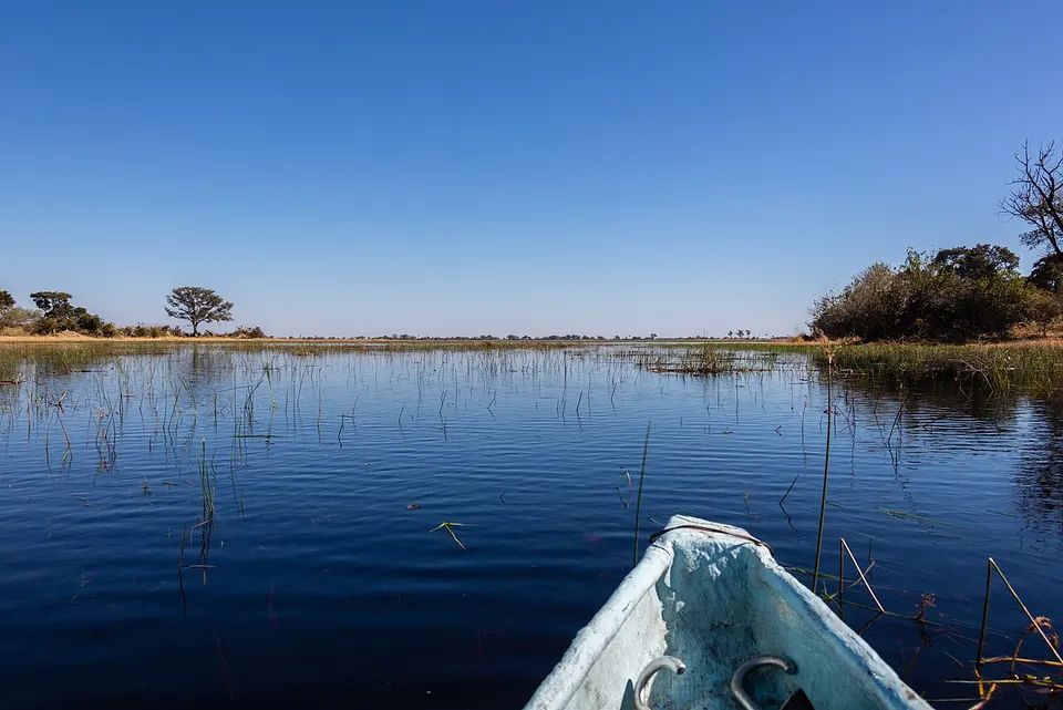 Delta del Okavango, Botsuana, 2018-07-31, DD 01
