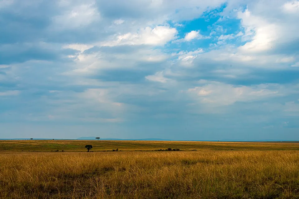Maasai Mara savanna landscape, Kenya